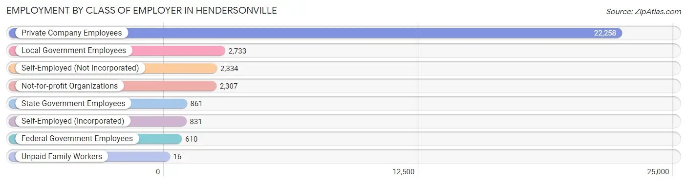 Employment by Class of Employer in Hendersonville