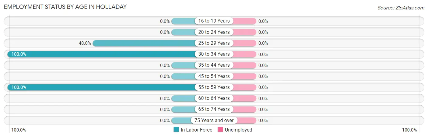 Employment Status by Age in Holladay