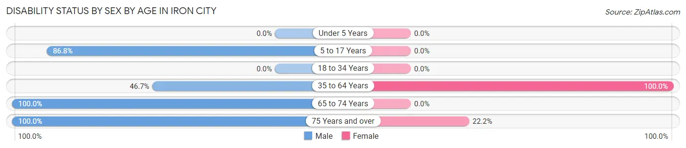 Disability Status by Sex by Age in Iron City