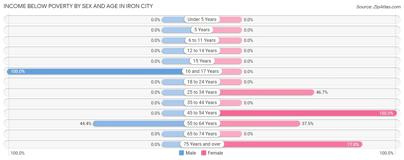 Income Below Poverty by Sex and Age in Iron City