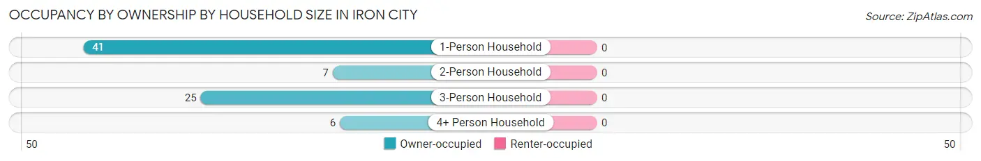 Occupancy by Ownership by Household Size in Iron City