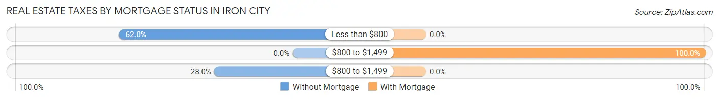 Real Estate Taxes by Mortgage Status in Iron City