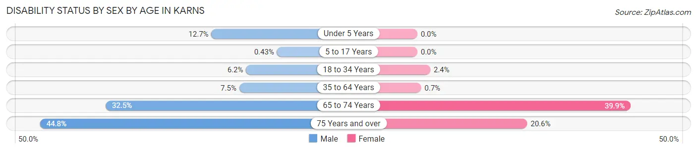 Disability Status by Sex by Age in Karns