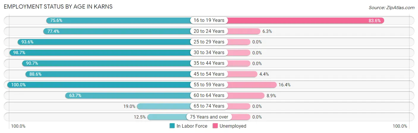 Employment Status by Age in Karns