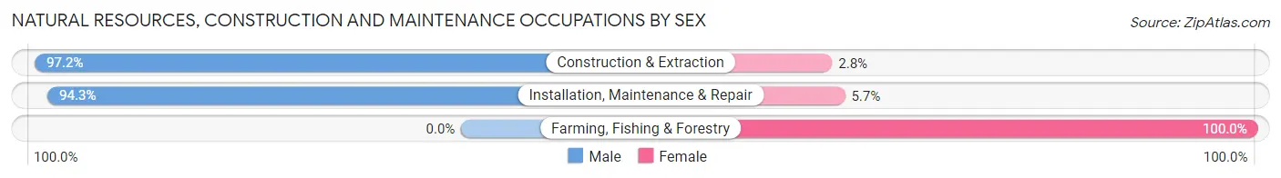 Natural Resources, Construction and Maintenance Occupations by Sex in La Vergne