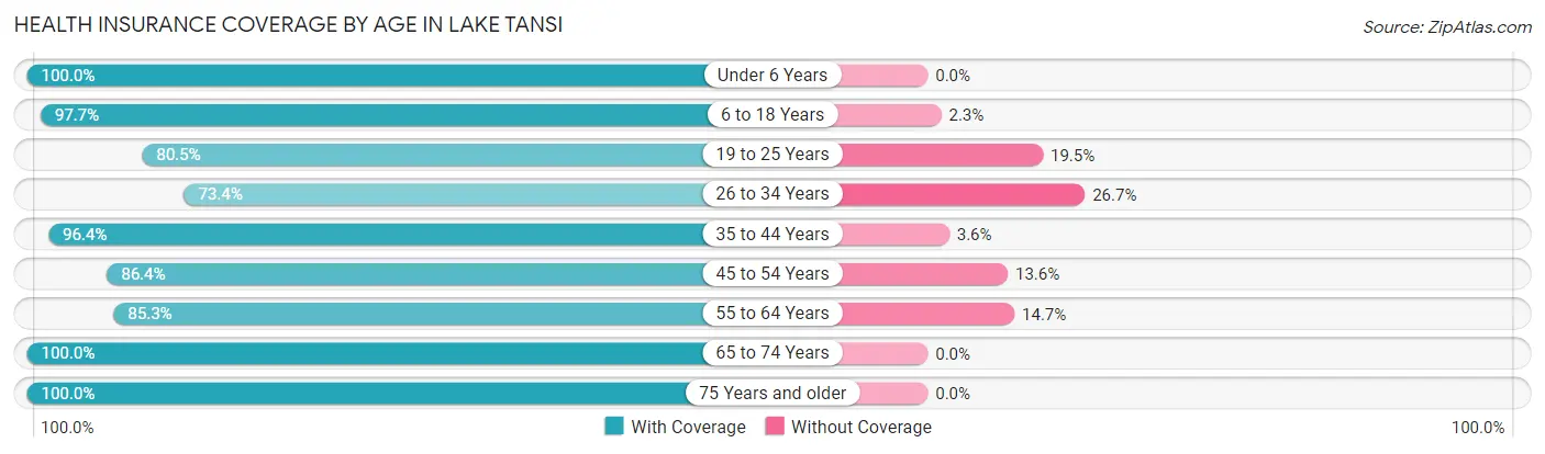 Health Insurance Coverage by Age in Lake Tansi