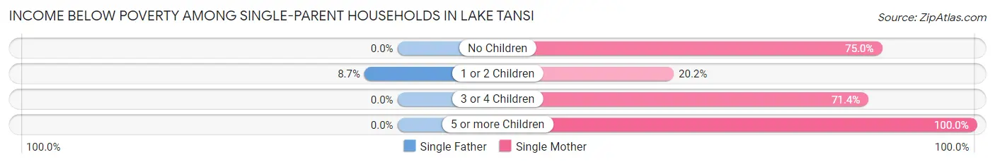 Income Below Poverty Among Single-Parent Households in Lake Tansi