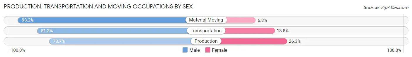 Production, Transportation and Moving Occupations by Sex in Lake Tansi