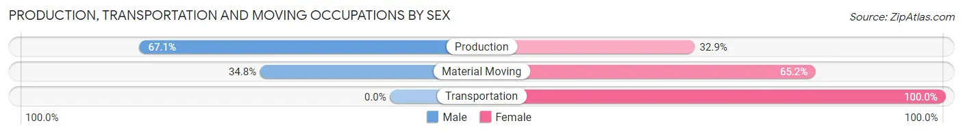 Production, Transportation and Moving Occupations by Sex in Lakewood Park
