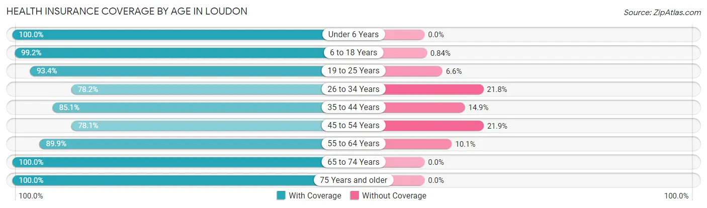 Health Insurance Coverage by Age in Loudon
