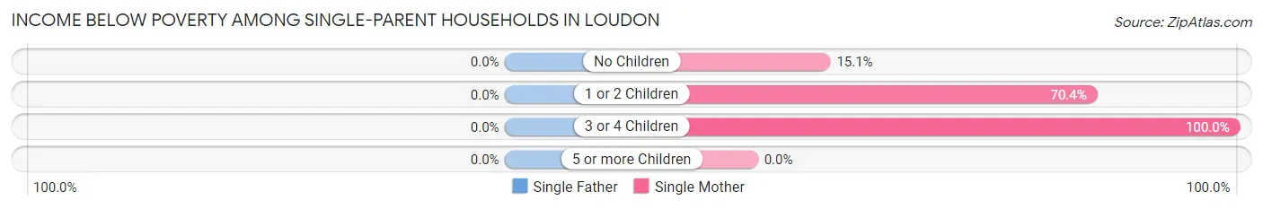 Income Below Poverty Among Single-Parent Households in Loudon