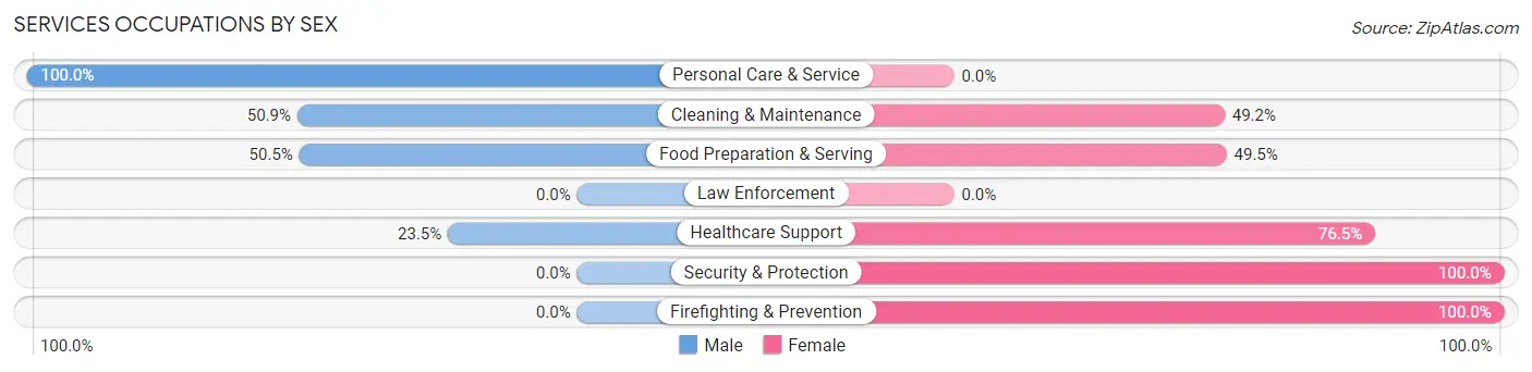 Services Occupations by Sex in Madisonville