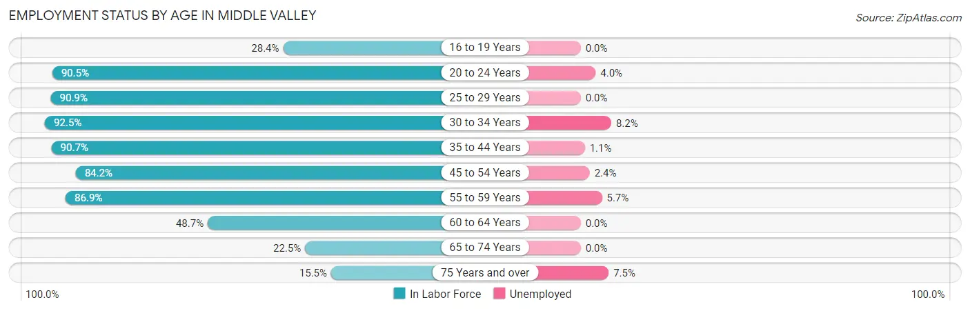 Employment Status by Age in Middle Valley