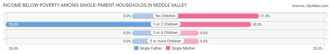 Income Below Poverty Among Single-Parent Households in Middle Valley