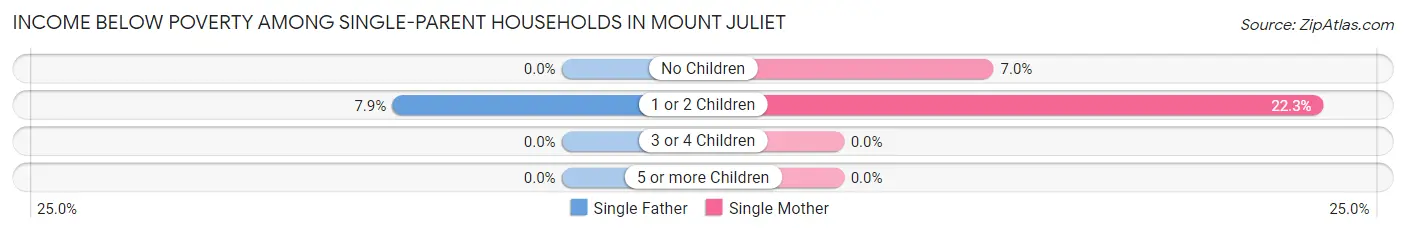 Income Below Poverty Among Single-Parent Households in Mount Juliet