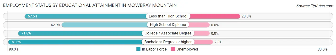 Employment Status by Educational Attainment in Mowbray Mountain