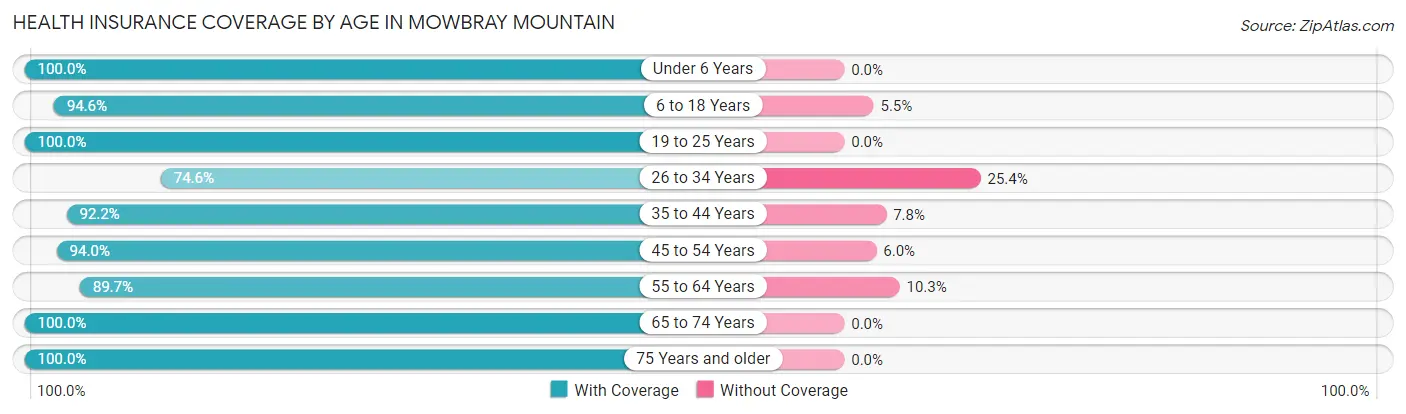 Health Insurance Coverage by Age in Mowbray Mountain