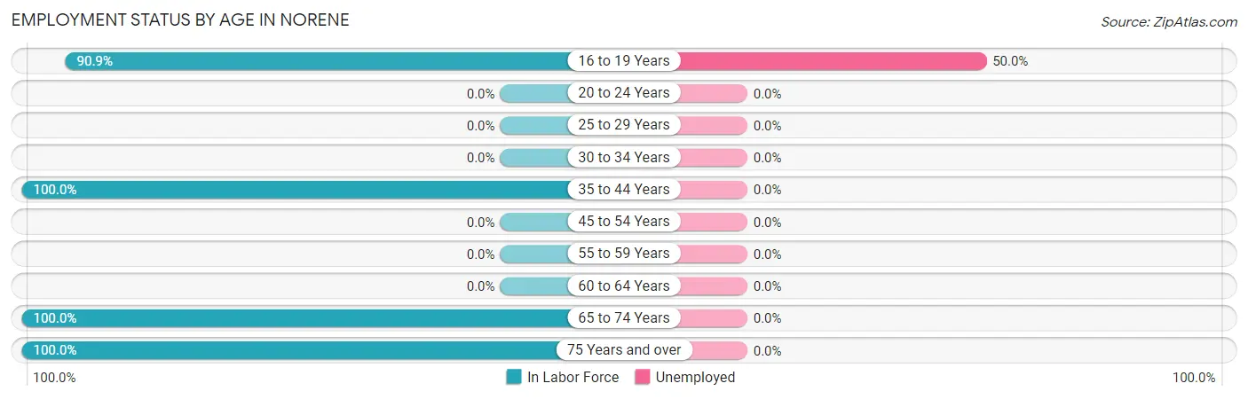 Employment Status by Age in Norene