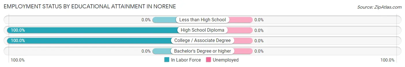 Employment Status by Educational Attainment in Norene