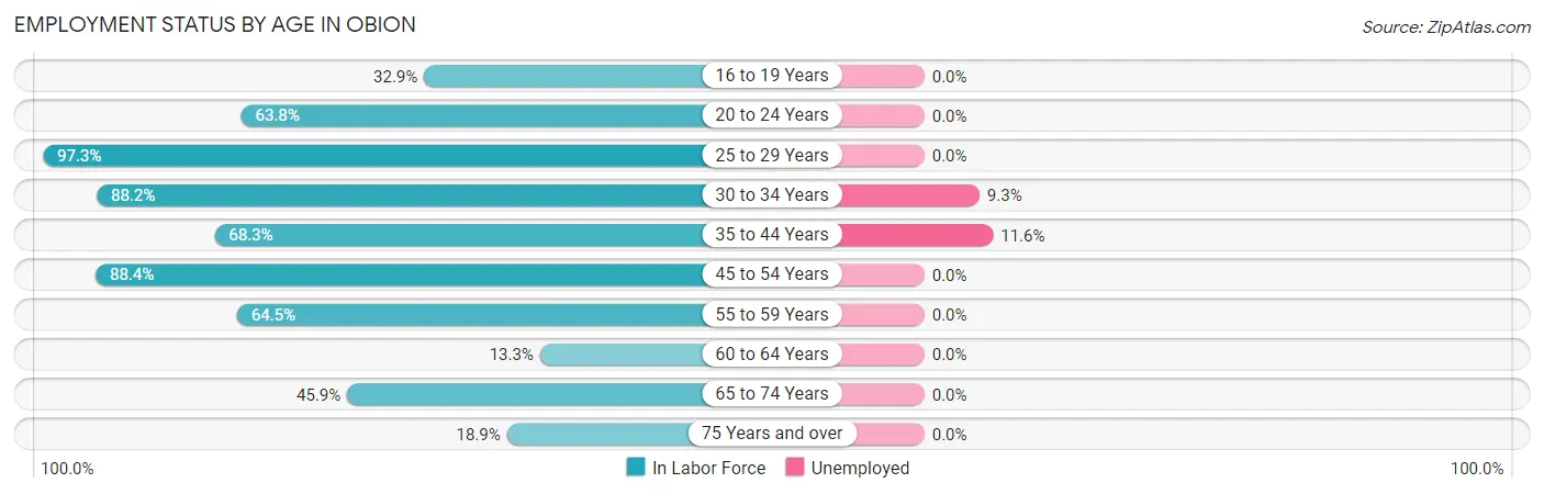 Employment Status by Age in Obion