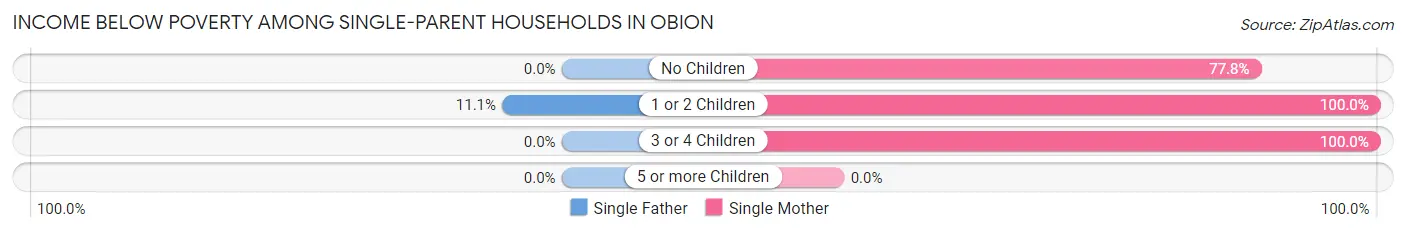 Income Below Poverty Among Single-Parent Households in Obion