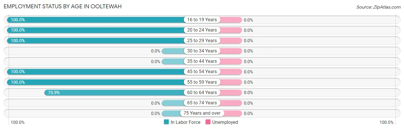 Employment Status by Age in Ooltewah