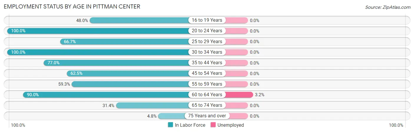 Employment Status by Age in Pittman Center