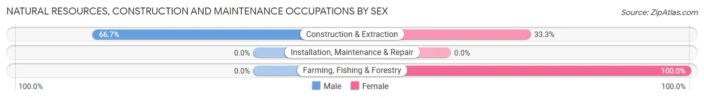 Natural Resources, Construction and Maintenance Occupations by Sex in Pittman Center