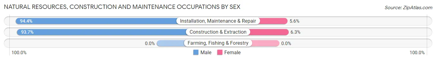 Natural Resources, Construction and Maintenance Occupations by Sex in Powell