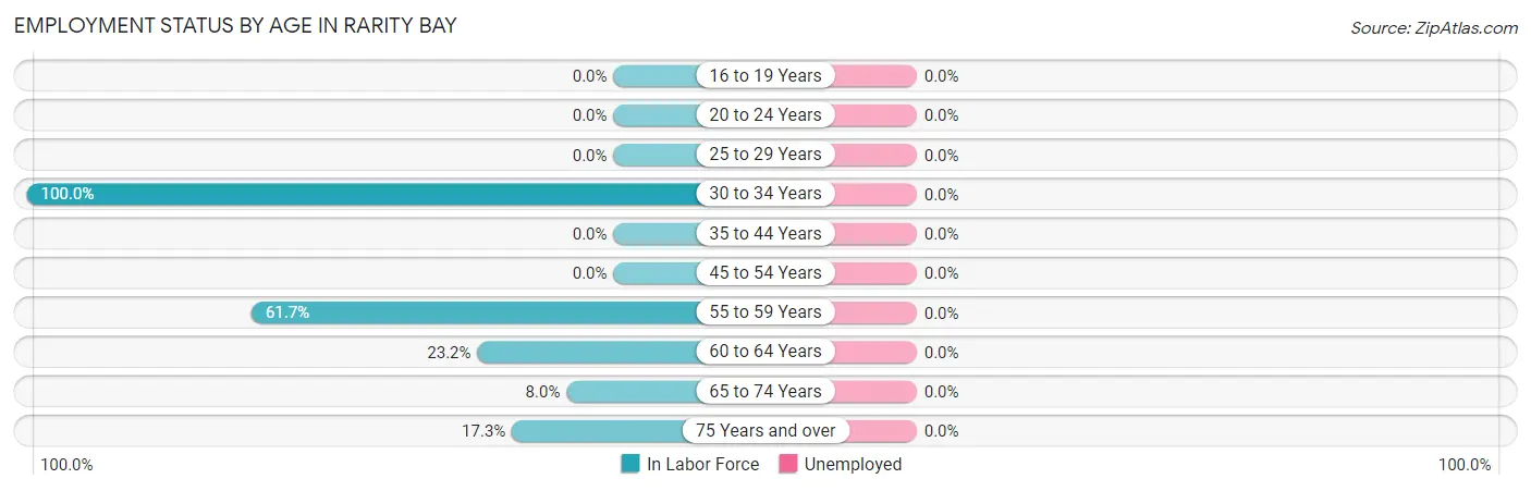 Employment Status by Age in Rarity Bay