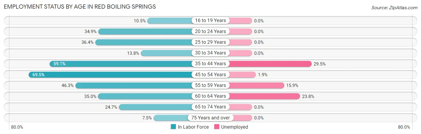 Employment Status by Age in Red Boiling Springs