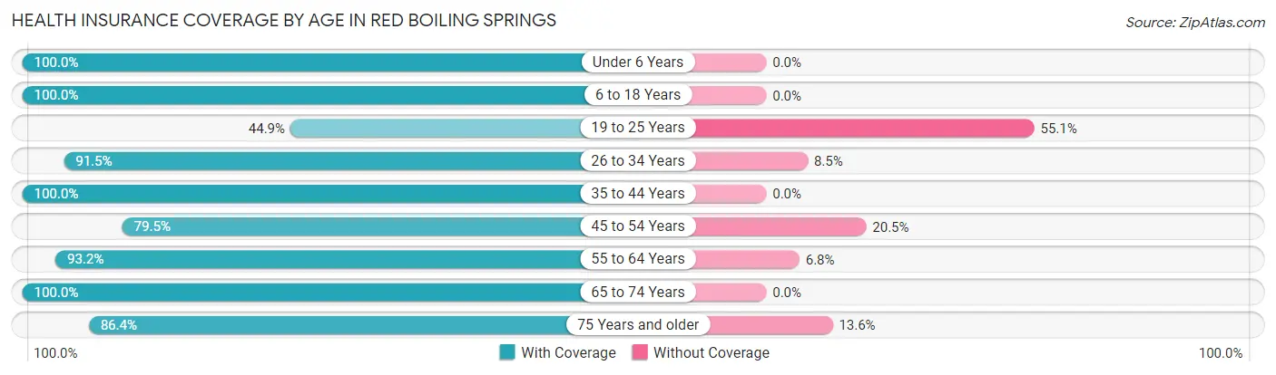 Health Insurance Coverage by Age in Red Boiling Springs