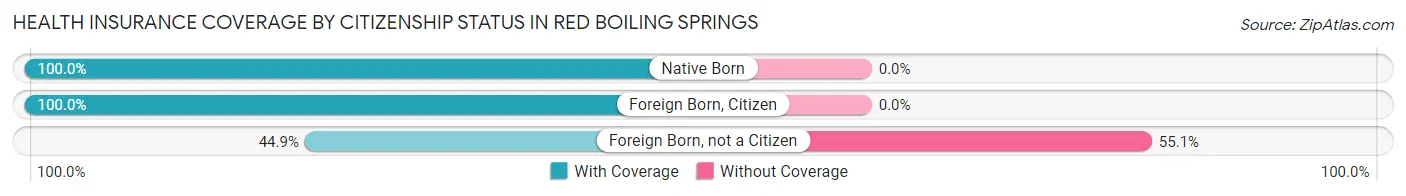 Health Insurance Coverage by Citizenship Status in Red Boiling Springs