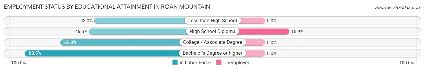 Employment Status by Educational Attainment in Roan Mountain