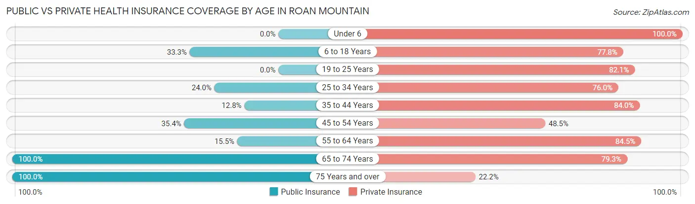 Public vs Private Health Insurance Coverage by Age in Roan Mountain