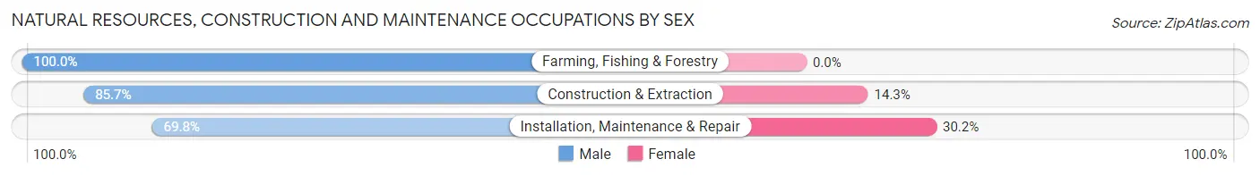 Natural Resources, Construction and Maintenance Occupations by Sex in Rocky Top