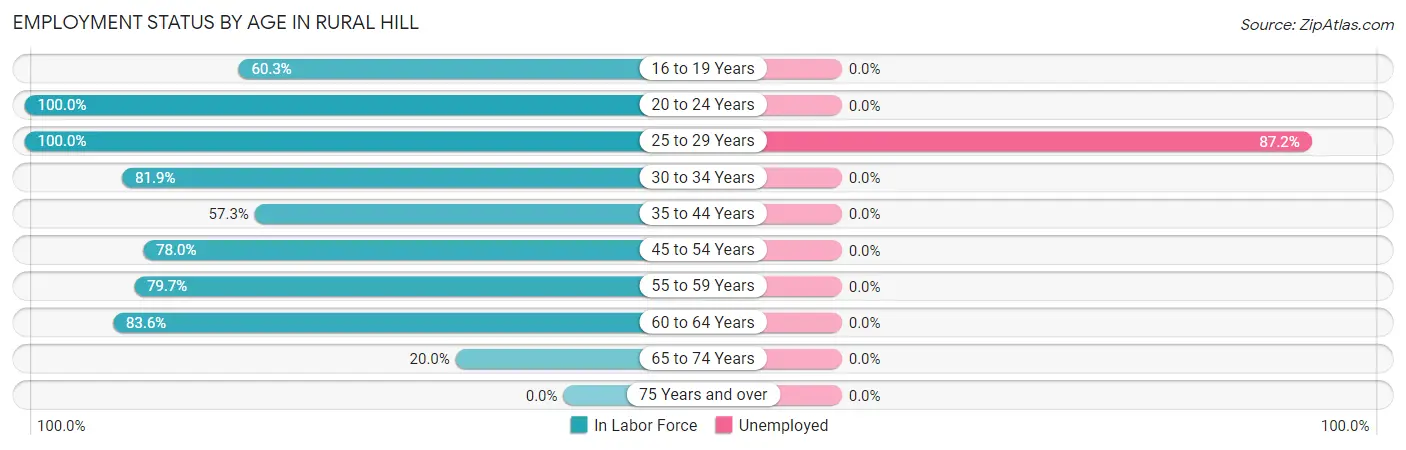 Employment Status by Age in Rural Hill
