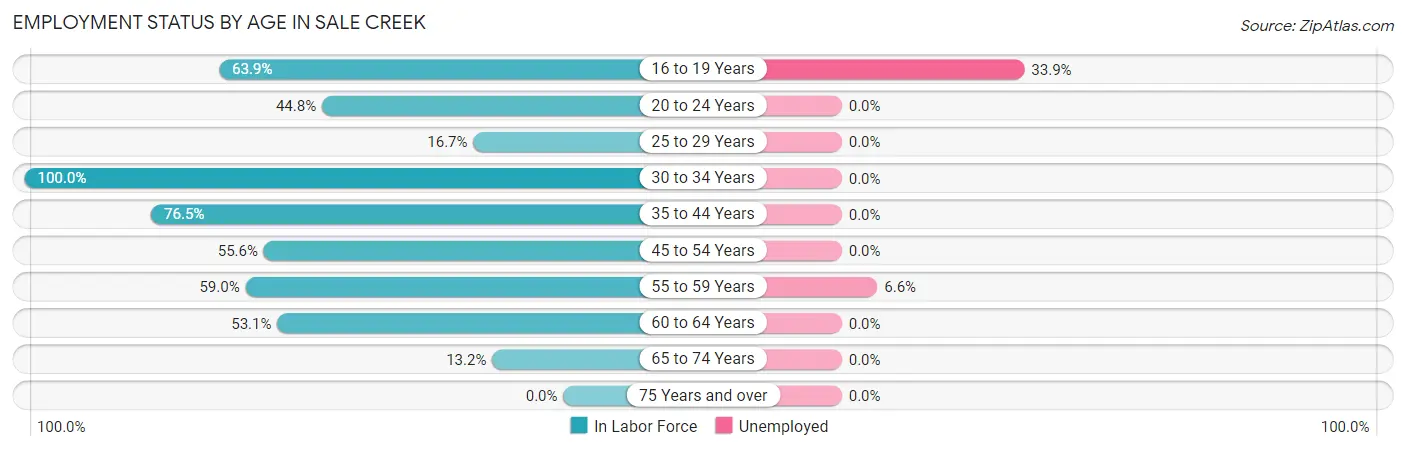 Employment Status by Age in Sale Creek