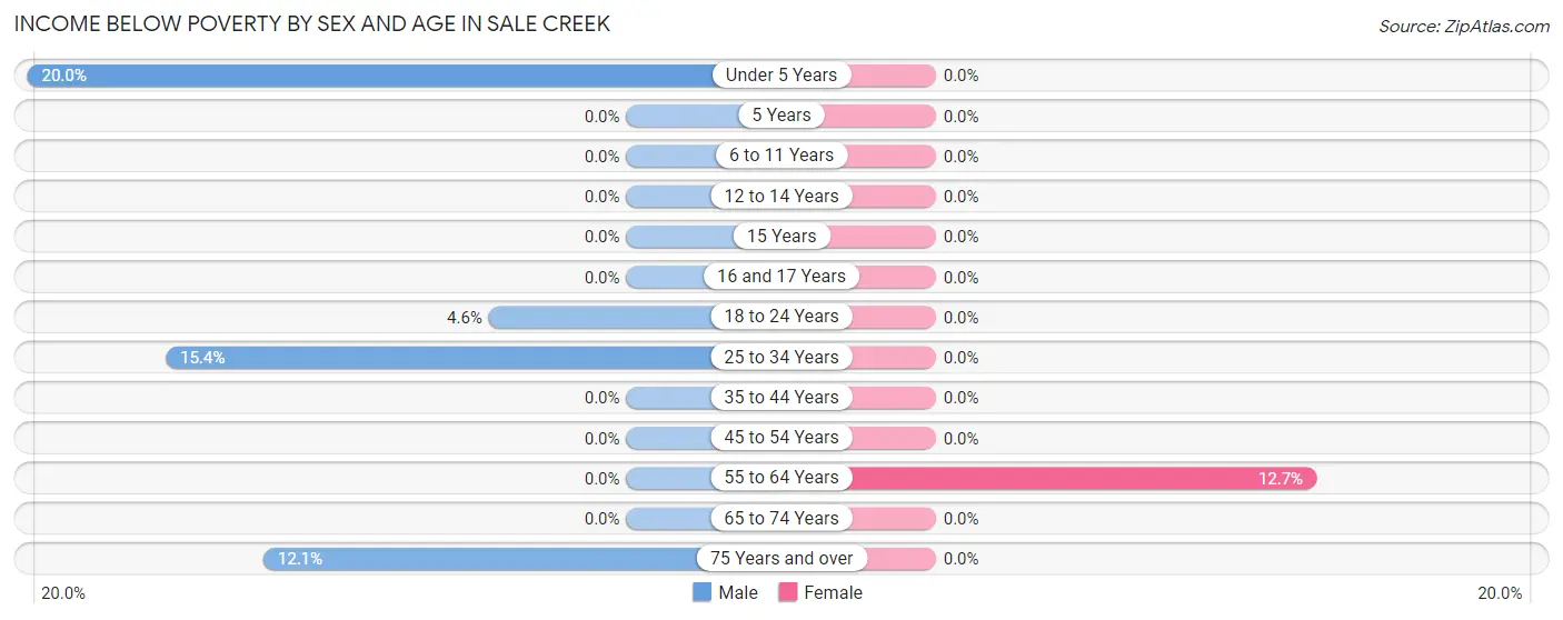 Income Below Poverty by Sex and Age in Sale Creek