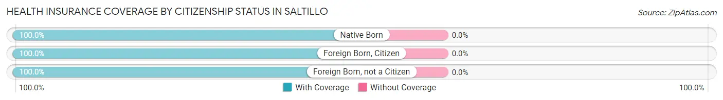 Health Insurance Coverage by Citizenship Status in Saltillo