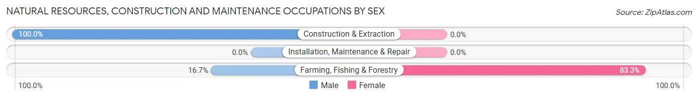 Natural Resources, Construction and Maintenance Occupations by Sex in Sewanee