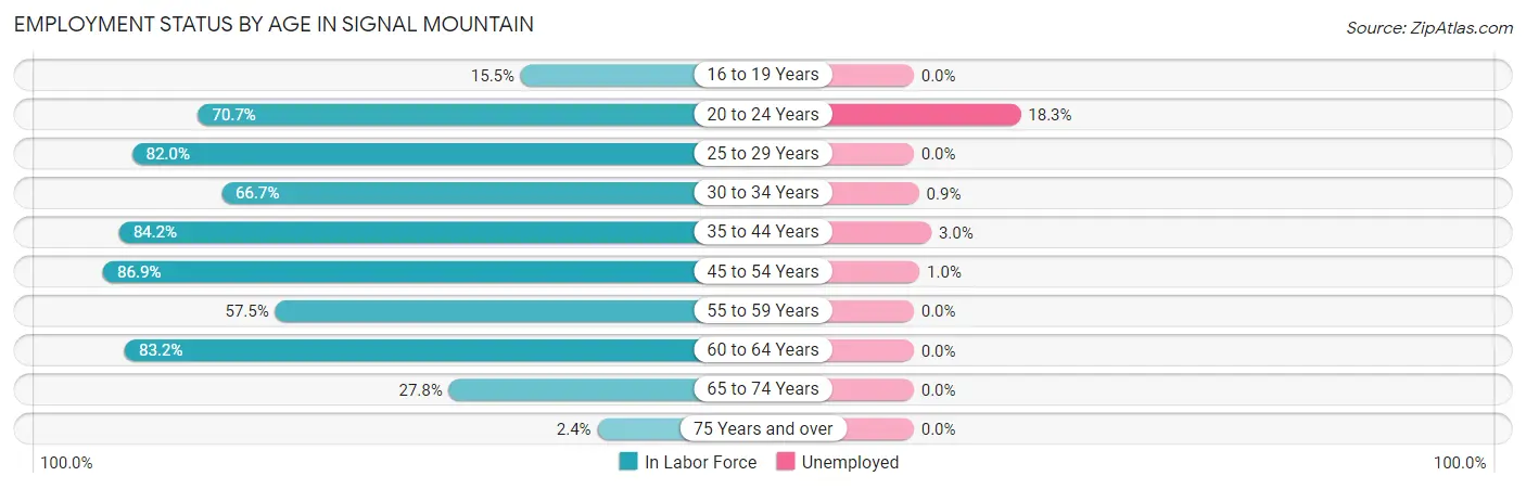 Employment Status by Age in Signal Mountain