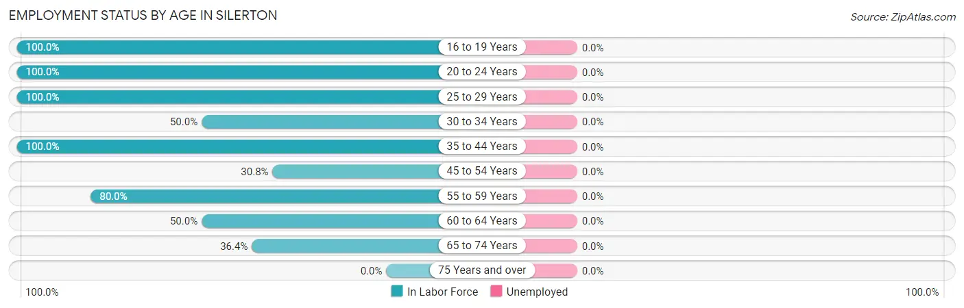Employment Status by Age in Silerton