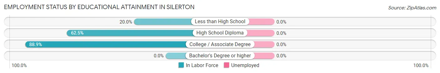 Employment Status by Educational Attainment in Silerton