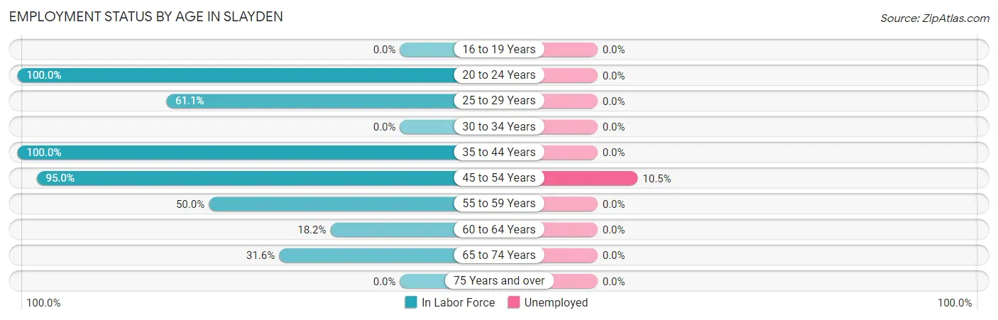 Employment Status by Age in Slayden