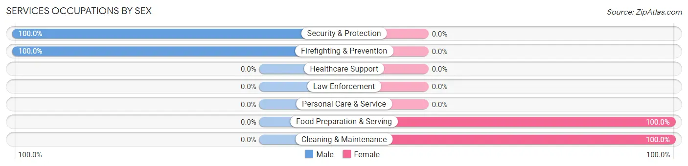 Services Occupations by Sex in Slayden