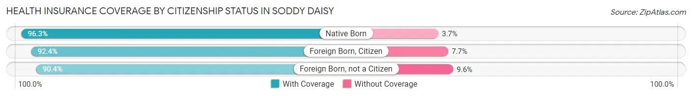 Health Insurance Coverage by Citizenship Status in Soddy Daisy