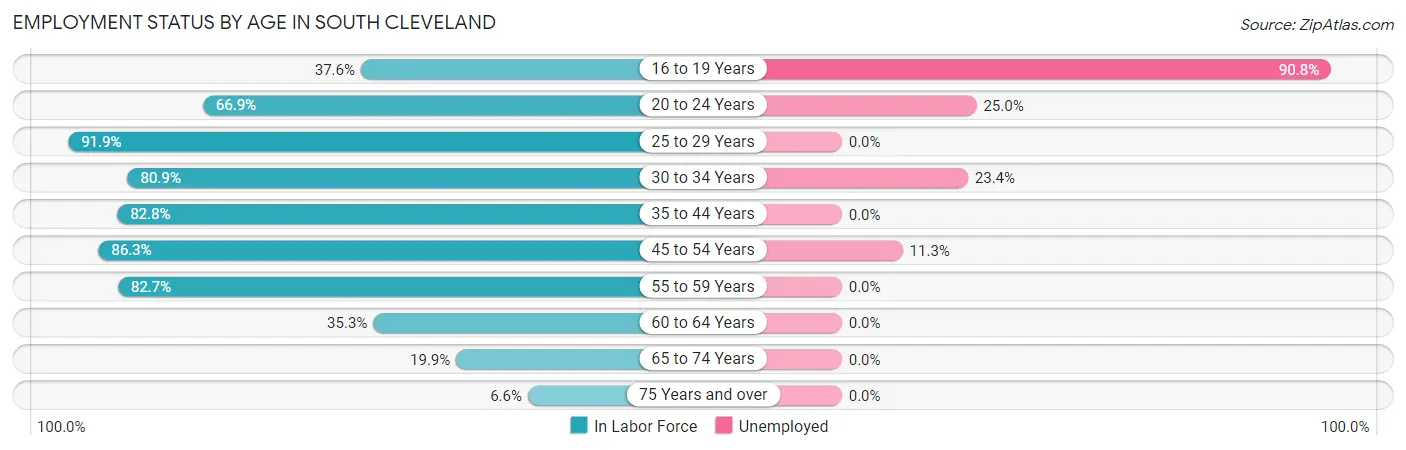 Employment Status by Age in South Cleveland