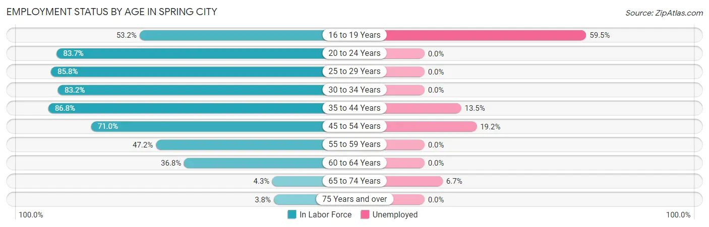 Employment Status by Age in Spring City