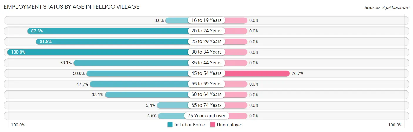Employment Status by Age in Tellico Village